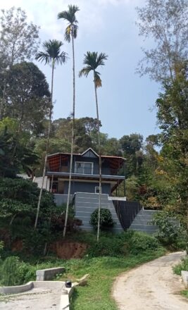 Homestay in Coorg,